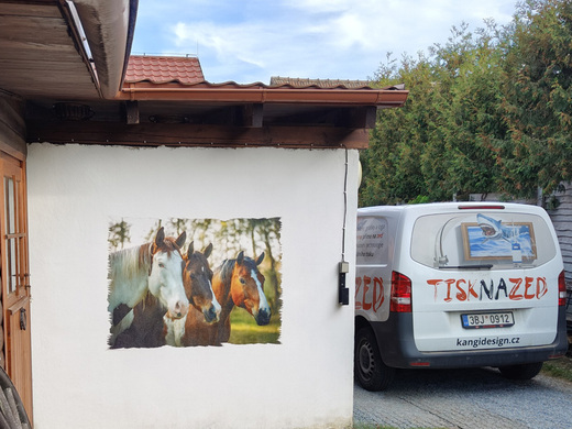 Kone titulni.jpg