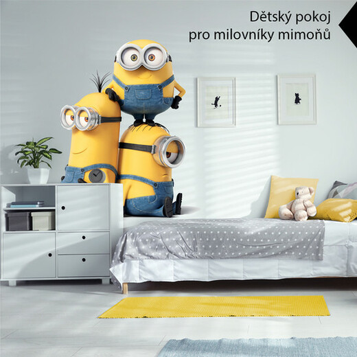 Tisk na zeď v domácnosti